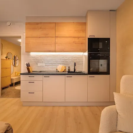 Pronajem Utulneho A Vybaveneho Bytu 플젠