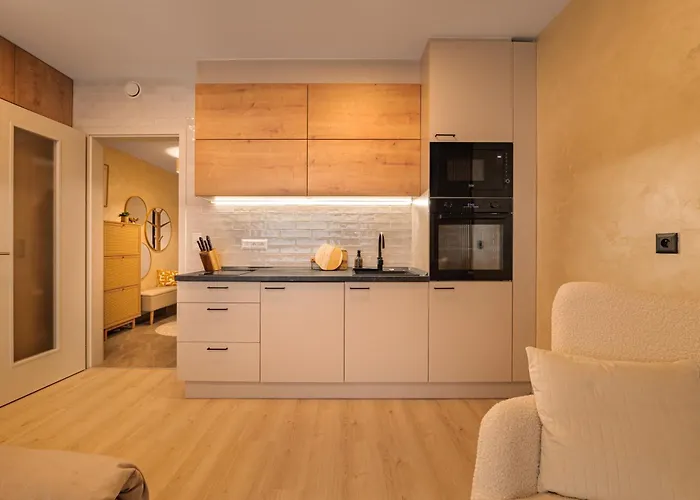 Pronajem Utulneho A Vybaveneho Bytu 플젠